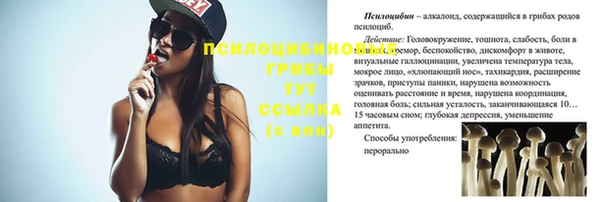 spice Балабаново